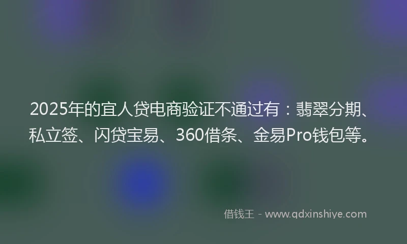 2025年的宜人贷电商验证不通过有：翡翠分期、私立签、闪贷宝易、360借条、金易Pro钱包等。