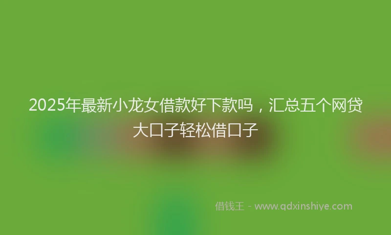 2025年最新小龙女借款好下款吗，汇总五个网贷大口子轻松借口子