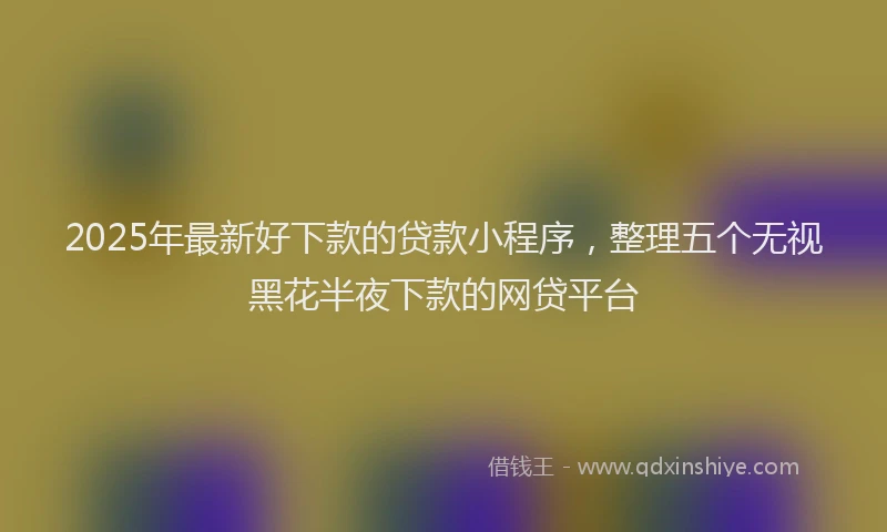 2025年最新好下款的贷款小程序，整理五个无视黑花半夜下款的网贷平台