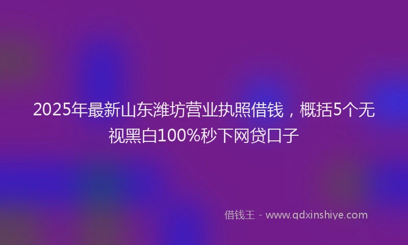 2025年最新山东潍坊营业执照借钱，概括5个无视黑白100%秒下网贷口子