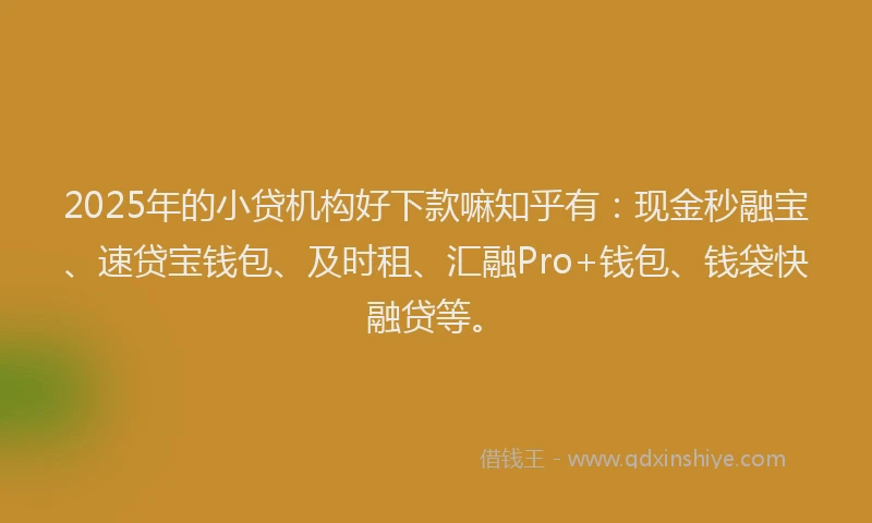 2025年的小贷机构好下款嘛知乎有：现金秒融宝、速贷宝钱包、及时租、汇融Pro+钱包、钱袋快融贷等。