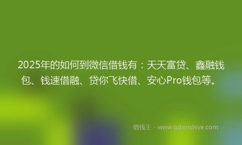2025年的如何到微信借钱有：天天富贷、鑫融钱包、钱速借融、贷你飞快借、安心Pro钱包等。