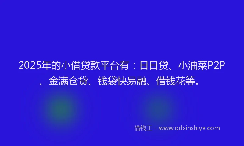2025年的小借贷款平台有：日日贷、小油菜P2P、金满仓贷、钱袋快易融、借钱花等。