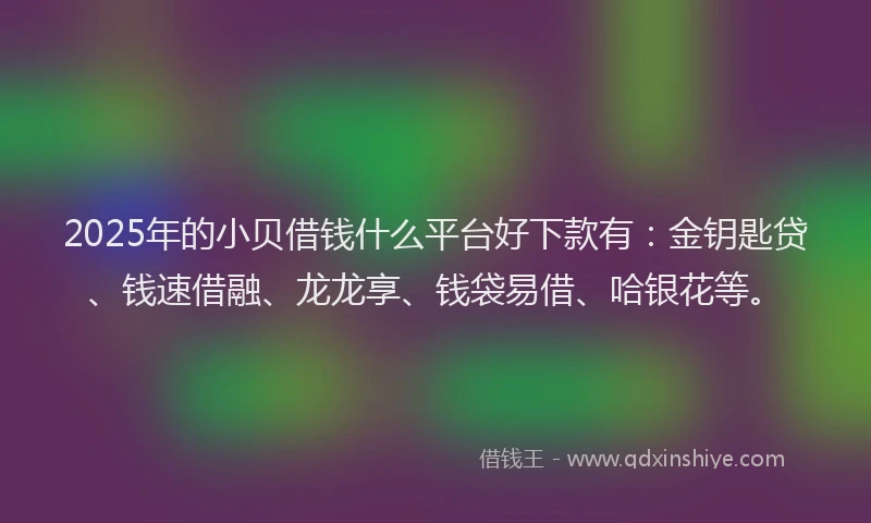 2025年的小贝借钱什么平台好下款有：金钥匙贷、钱速借融、龙龙享、钱袋易借、哈银花等。
