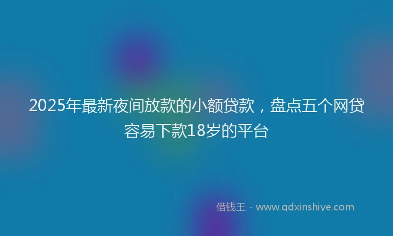 2025年最新夜间放款的小额贷款，盘点五个网贷容易下款18岁的平台