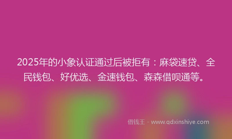 2025年的小象认证通过后被拒有：麻袋速贷、全民钱包、好优选、金速钱包、森森借呗通等。