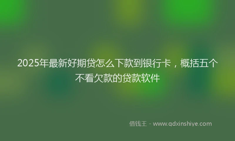2025年最新好期贷怎么下款到银行卡，概括五个不看欠款的贷款软件