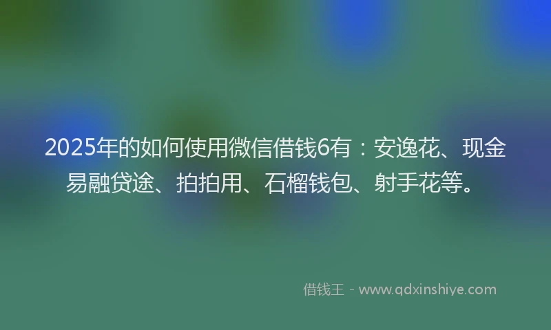 2025年的如何使用微信借钱6有：安逸花、现金易融贷途、拍拍用、石榴钱包、射手花等。