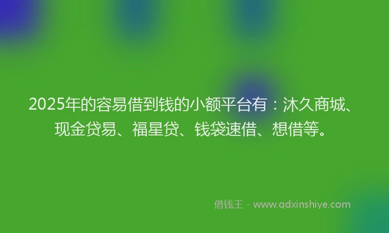 2025年的容易借到钱的小额平台有：沐久商城、现金贷易、福星贷、钱袋速借、想借等。