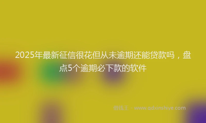 2025年最新征信很花但从未逾期还能贷款吗，盘点5个逾期必下款的软件