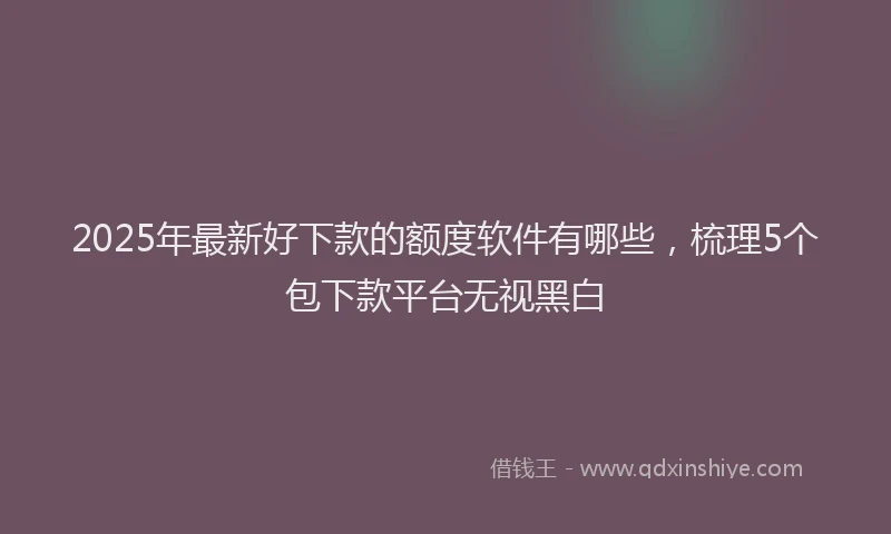 2025年最新好下款的额度软件有哪些，梳理5个包下款平台无视黑白