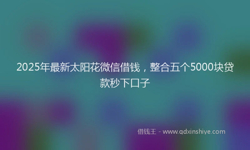2025年最新太阳花微信借钱，整合五个5000块贷款秒下口子