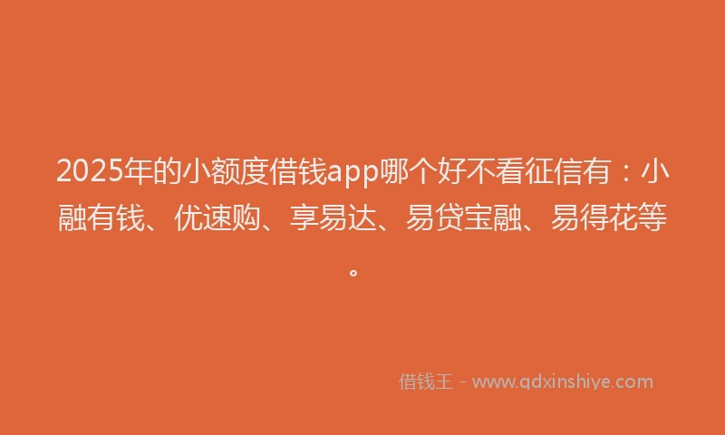 2025年的小额度借钱app哪个好不看征信有：小融有钱、优速购、享易达、易贷宝融、易得花等。