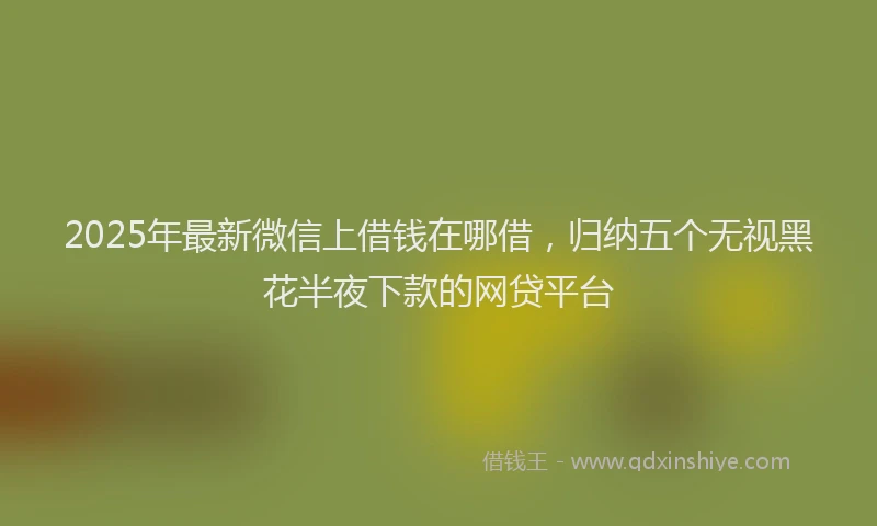 2025年最新微信上借钱在哪借，归纳五个无视黑花半夜下款的网贷平台