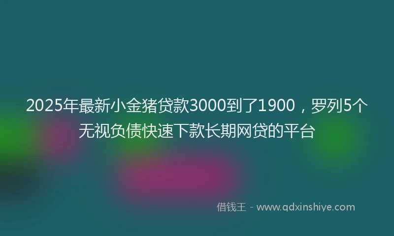 2025年最新小金猪贷款3000到了1900，罗列5个无视负债快速下款长期网贷的平台