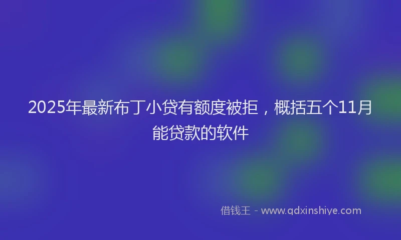 2025年最新布丁小贷有额度被拒，概括五个11月能贷款的软件