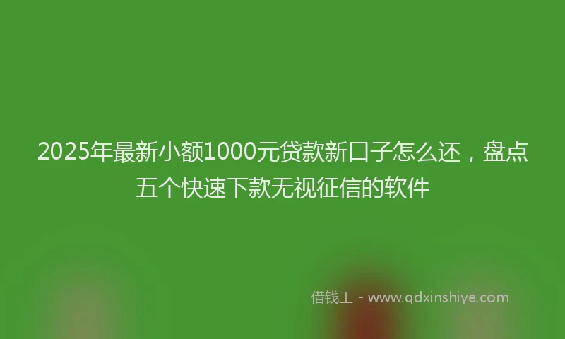 2025年最新小额1000元贷款新口子怎么还，盘点五个快速下款无视征信的软件