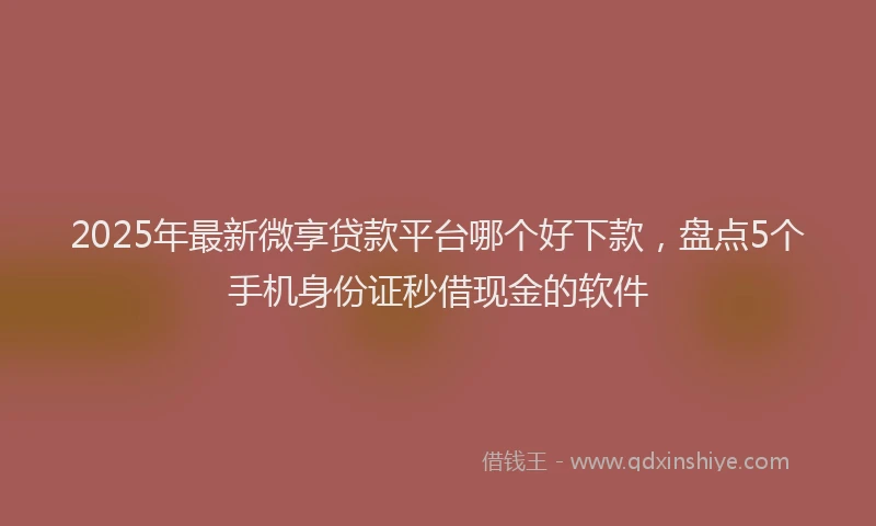 2025年最新微享贷款平台哪个好下款，盘点5个手机身份证秒借现金的软件