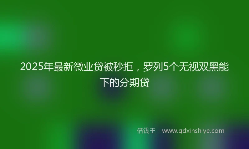 2025年最新微业贷被秒拒，罗列5个无视双黑能下的分期贷