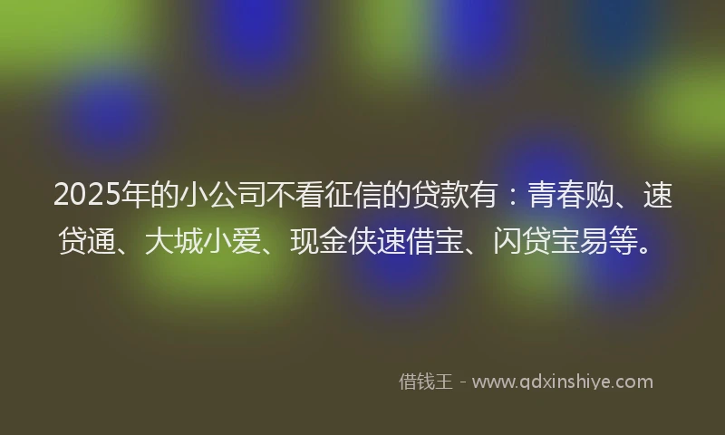 2025年的小公司不看征信的贷款有：青春购、速贷通、大城小爱、现金侠速借宝、闪贷宝易等。