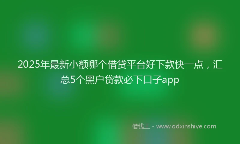 2025年最新小额哪个借贷平台好下款快一点，汇总5个黑户贷款必下口子app