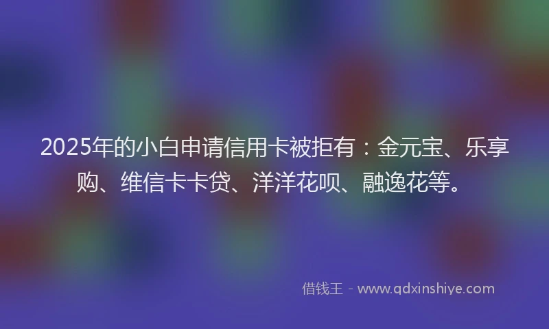 2025年的小白申请信用卡被拒有：金元宝、乐享购、维信卡卡贷、洋洋花呗、融逸花等。