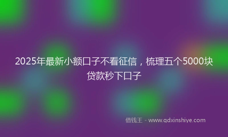 2025年最新小额口子不看征信，梳理五个5000块贷款秒下口子