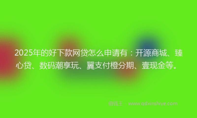 2025年的好下款网贷怎么申请有：开源商城、臻心贷、数码潮享玩、翼支付橙分期、壹现金等。