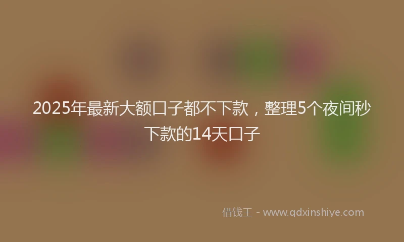 2025年最新大额口子都不下款，整理5个夜间秒下款的14天口子