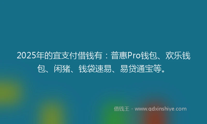2025年的宜支付借钱有：普惠Pro钱包、欢乐钱包、闲猪、钱袋速易、易贷通宝等。