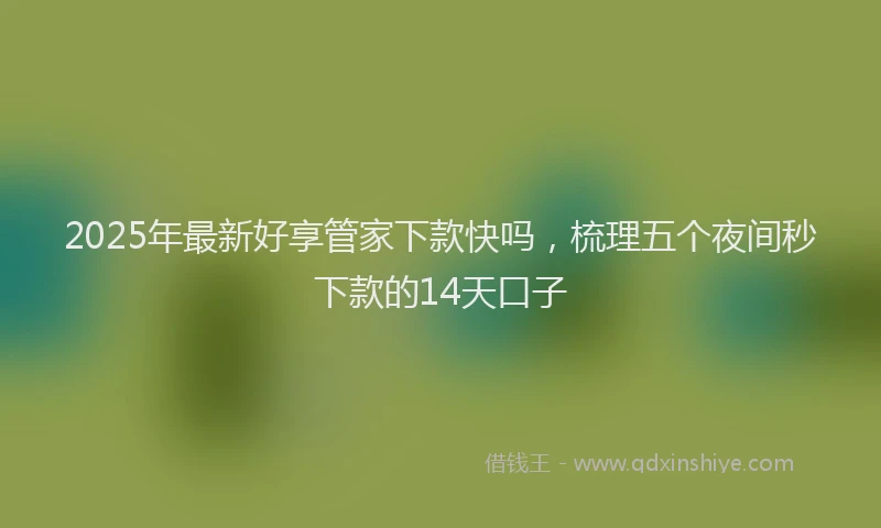 2025年最新好享管家下款快吗，梳理五个夜间秒下款的14天口子