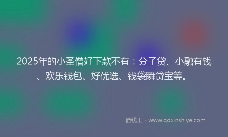 2025年的小圣僧好下款不有：分子贷、小融有钱、欢乐钱包、好优选、钱袋瞬贷宝等。