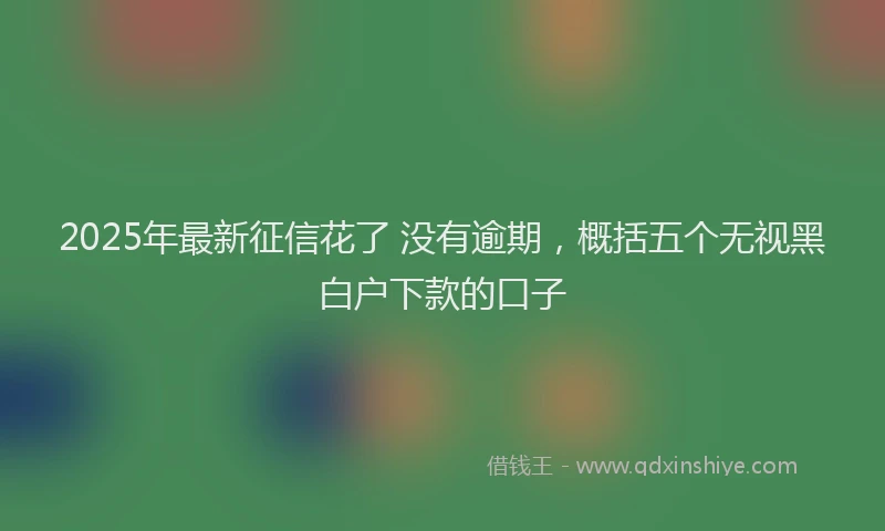 2025年最新征信花了 没有逾期，概括五个无视黑白户下款的口子