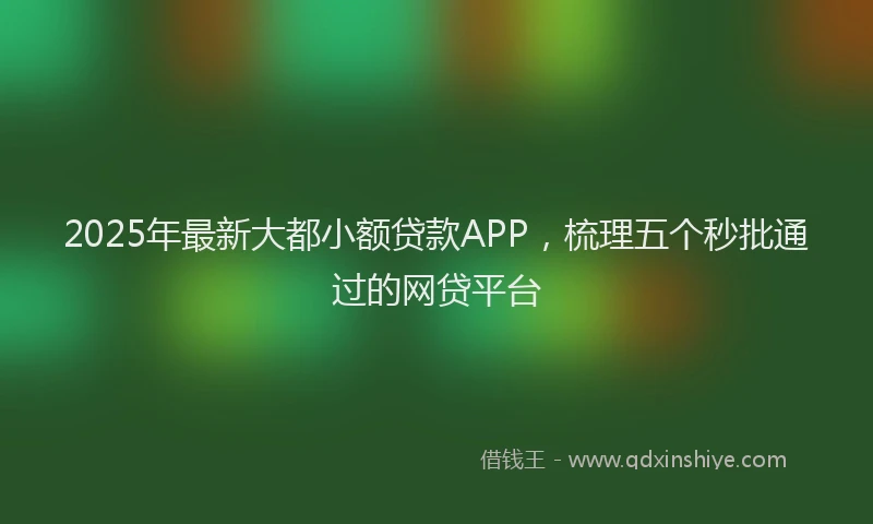2025年最新大都小额贷款APP，梳理五个秒批通过的网贷平台