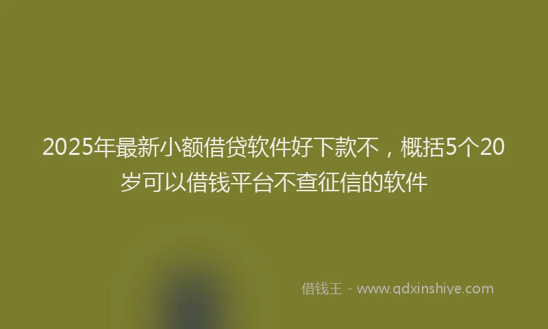 2025年最新小额借贷软件好下款不，概括5个20岁可以借钱平台不查征信的软件