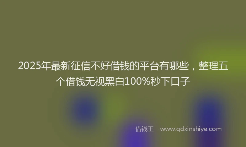 2025年最新征信不好借钱的平台有哪些，整理五个借钱无视黑白100%秒下口子