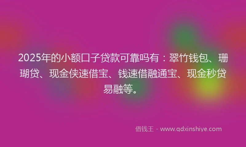 2025年的小额口子贷款可靠吗有：翠竹钱包、珊瑚贷、现金侠速借宝、钱速借融通宝、现金秒贷易融等。
