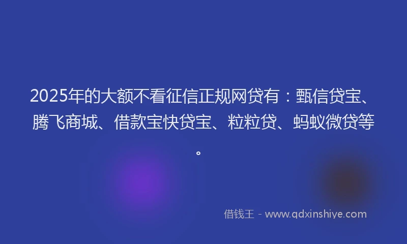 2025年的大额不看征信正规网贷有：甄信贷宝、腾飞商城、借款宝快贷宝、粒粒贷、蚂蚁微贷等。