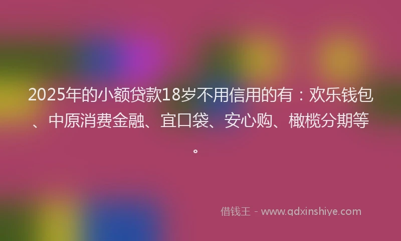 2025年的小额贷款18岁不用信用的有：欢乐钱包、中原消费金融、宜口袋、安心购、橄榄分期等。