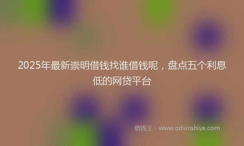 2025年最新崇明借钱找谁借钱呢，盘点五个利息低的网贷平台