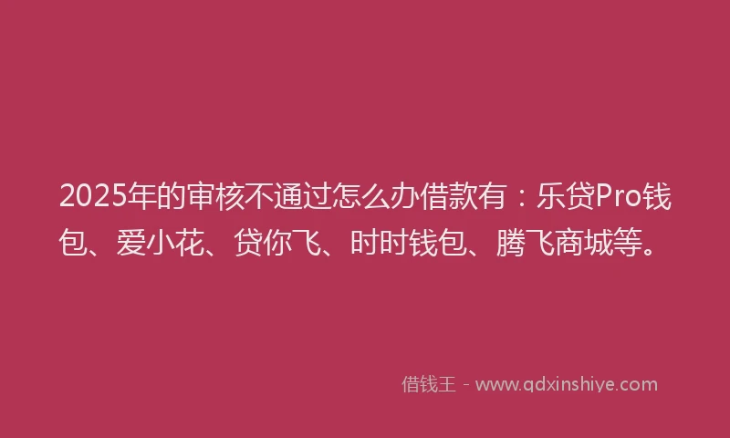 2025年的审核不通过怎么办借款有：乐贷Pro钱包、爱小花、贷你飞、时时钱包、腾飞商城等。