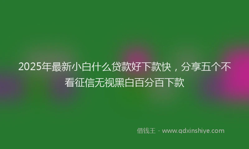 2025年最新小白什么贷款好下款快，分享五个不看征信无视黑白百分百下款