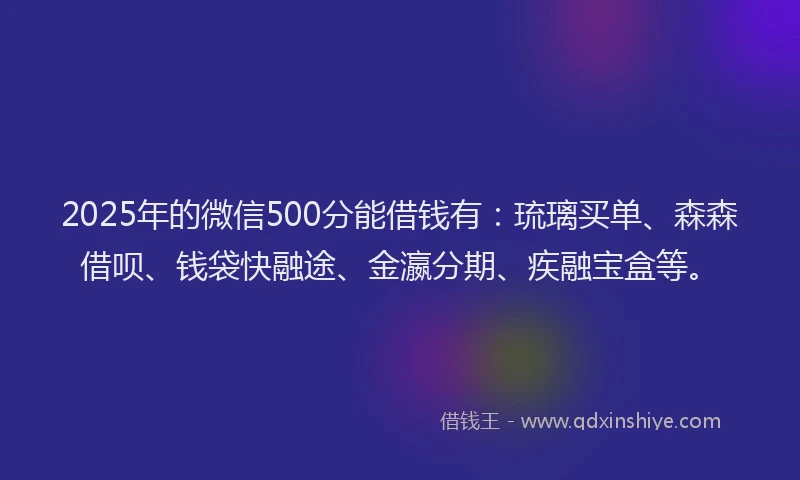 2025年的微信500分能借钱有：琉璃买单、森森借呗、钱袋快融途、金瀛分期、疾融宝盒等。