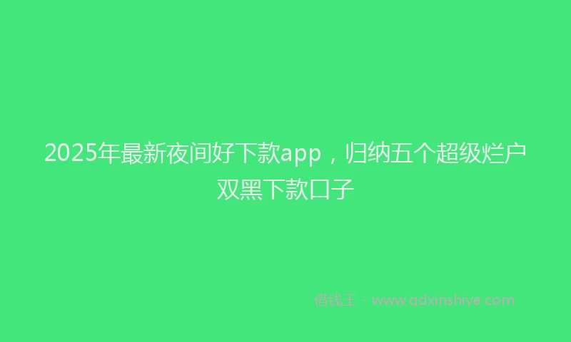 2025年最新夜间好下款app，归纳五个超级烂户双黑下款口子