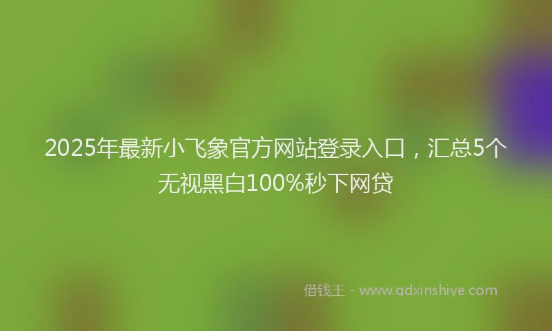 2025年最新小飞象官方网站登录入口，汇总5个无视黑白100%秒下网贷