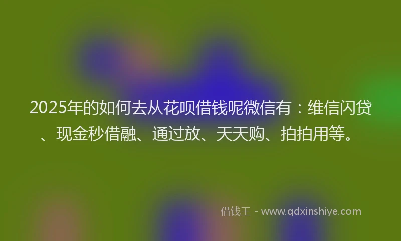 2025年的如何去从花呗借钱呢微信有：维信闪贷、现金秒借融、通过放、天天购、拍拍用等。