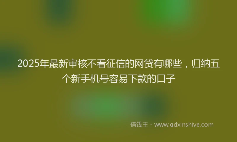 2025年最新审核不看征信的网贷有哪些，归纳五个新手机号容易下款的口子