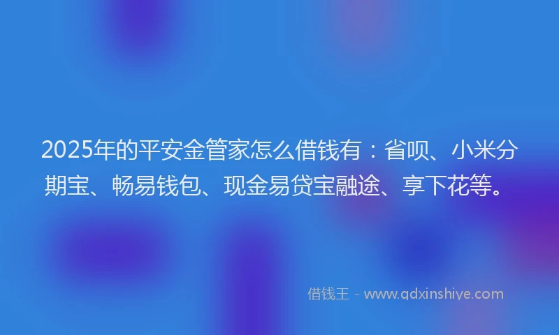2025年的平安金管家怎么借钱有：省呗、小米分期宝、畅易钱包、现金易贷宝融途、享下花等。