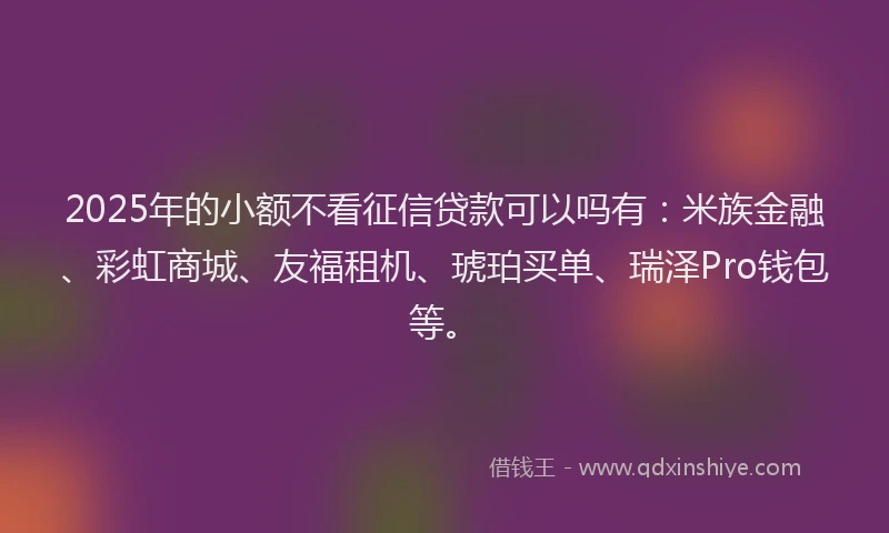 2025年的小额不看征信贷款可以吗有：米族金融、彩虹商城、友福租机、琥珀买单、瑞泽Pro钱包等。