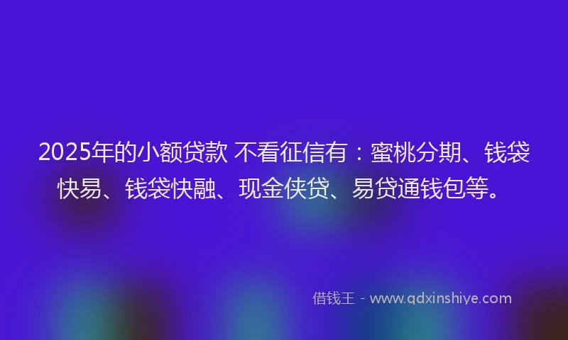 2025年的小额贷款 不看征信有：蜜桃分期、钱袋快易、钱袋快融、现金侠贷、易贷通钱包等。